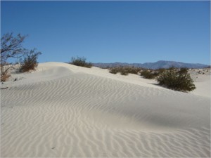 Desert Dunes 