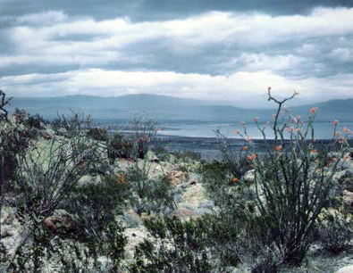 Photo of view of Salton Sea