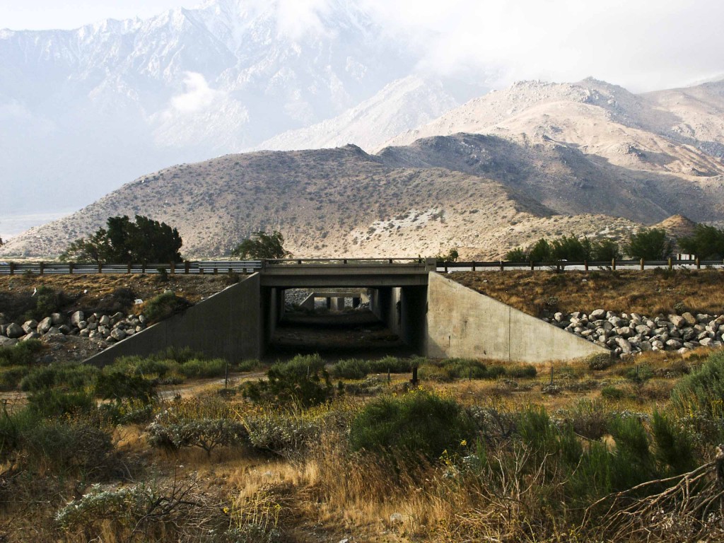 San Jacinto—San Bernardino Mountains Wildlife Movement Corridor acquisition - 2005