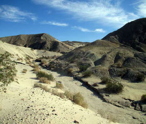 Photo of Kim Nichol Trail