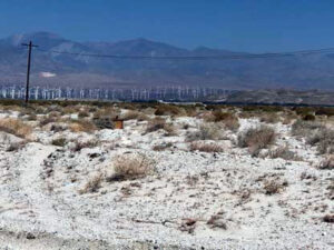 Photo of windmills in distance