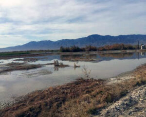 Photo of desert laguna