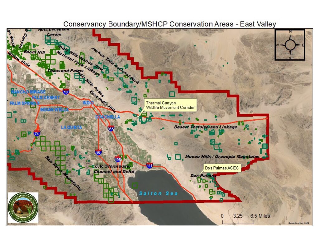 Conservancy Boundary/MSHCP Conservation Areas - East Valley